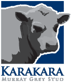 karakara
